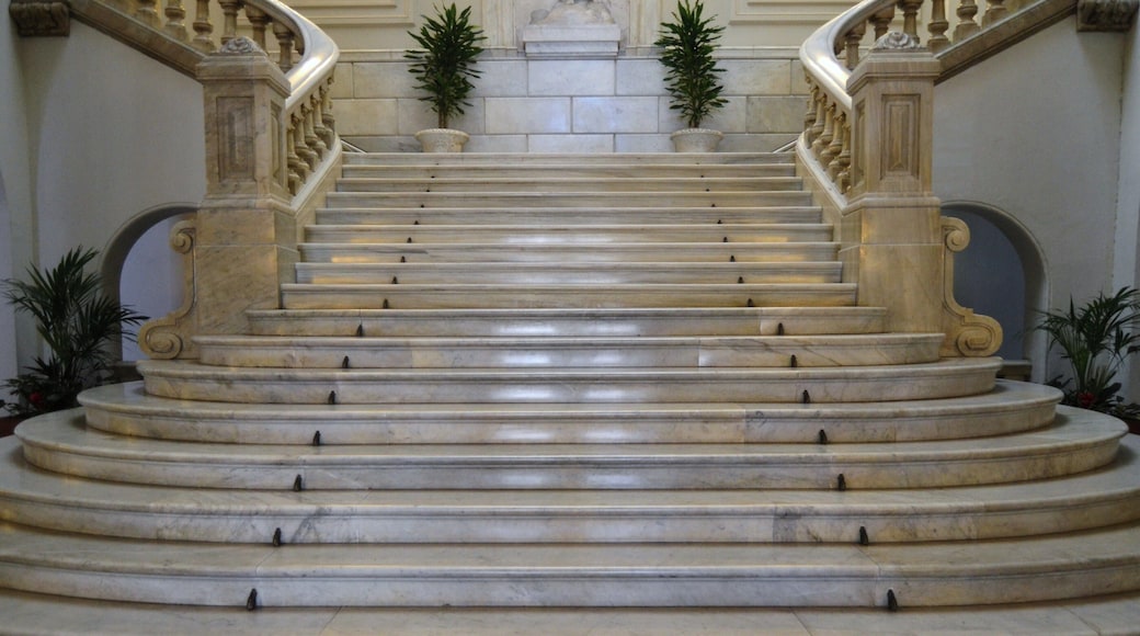 Ajuntament de València, escales.