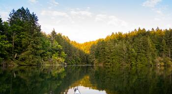 Tod Inlet, Brentwood, Saanich Peninsula, British Columbia, Canada