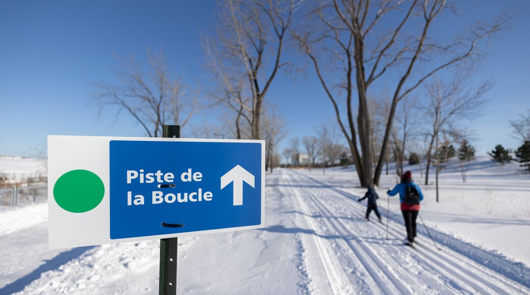 ์ํํธ์ํฌ-์นด๋ฅดํฐ์๋ฅด๋น๋ 