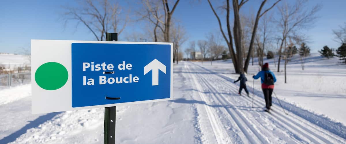 Cross country skiing in a park during winter