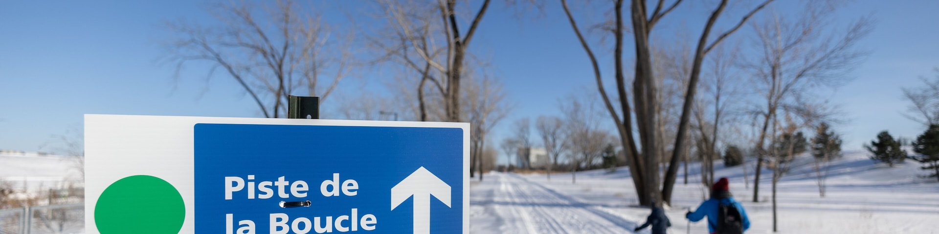 Cross country skiing in a park during winter