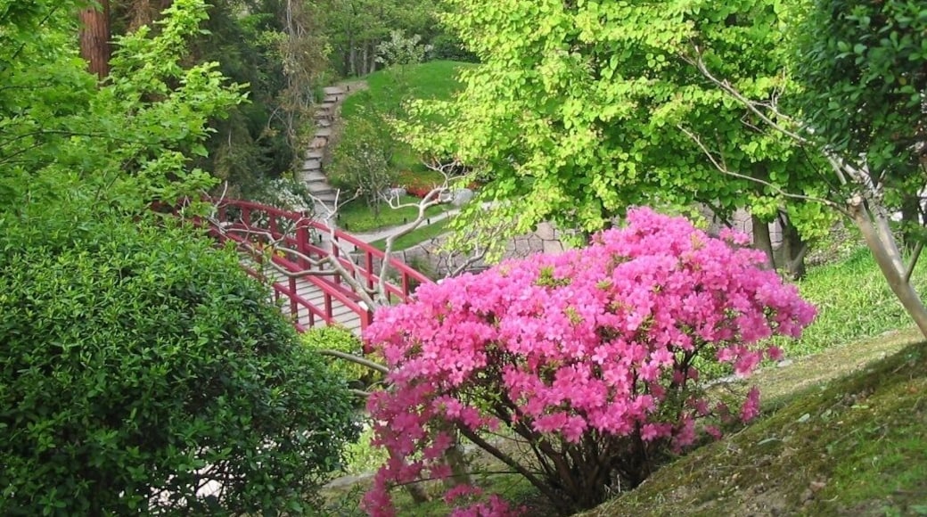 Musée Jardin Albert-Kahn à Boulogne-Billancourt (92).