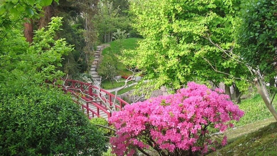 Musée Jardin Albert-Kahn à Boulogne-Billancourt (92).