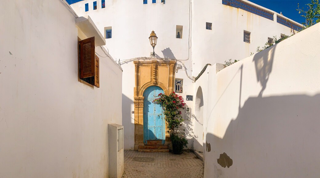 سلا المدينة