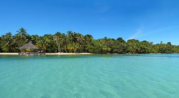 Tropical island panoramic