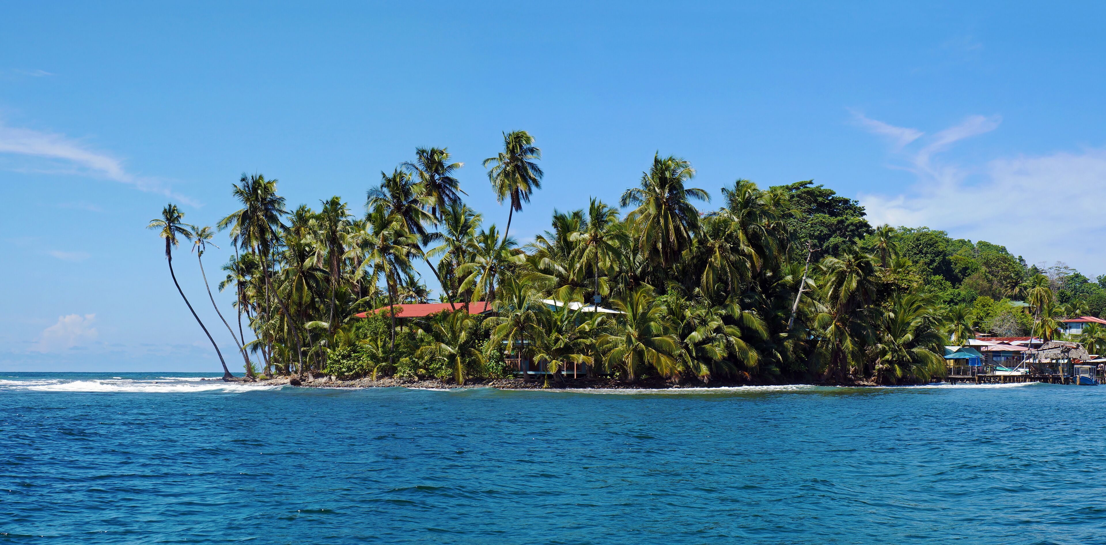 Tropical island with leaning coconut tree