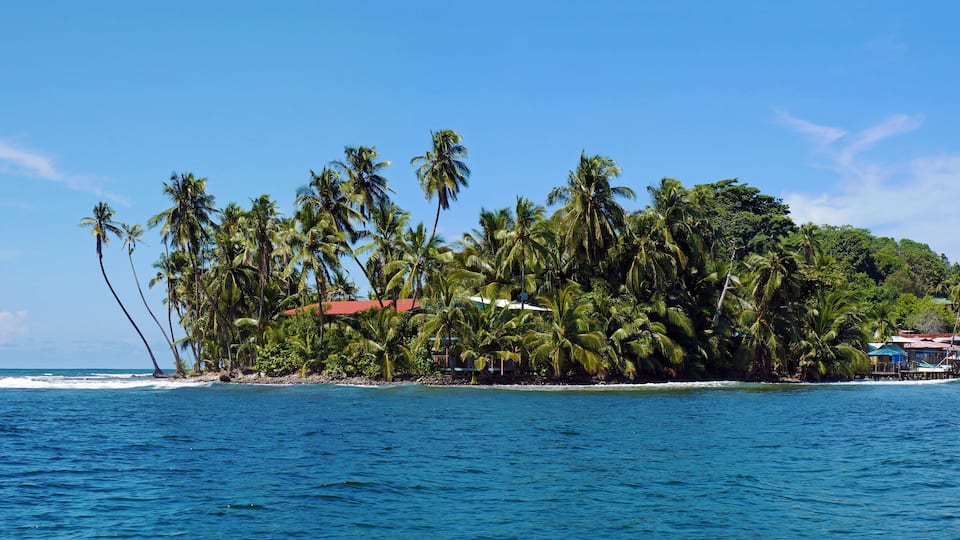 Tropical island with leaning coconut tree