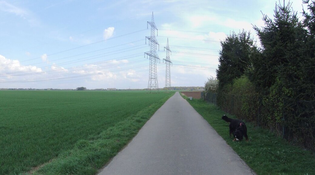 zwischen Sinnersdorf und Orr im Feld