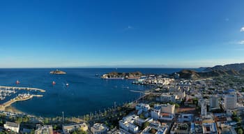 มามาโตโก