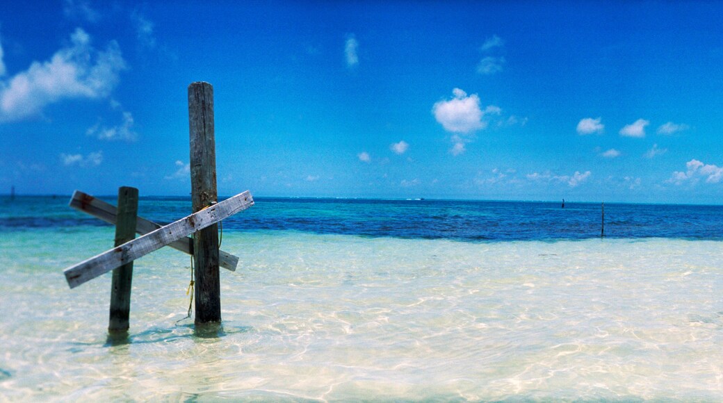 โบกา ซิเอกา