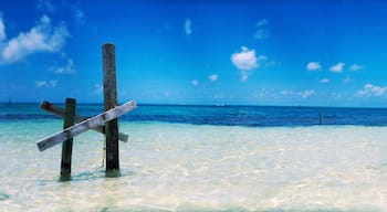 โบกา ซิเอกา