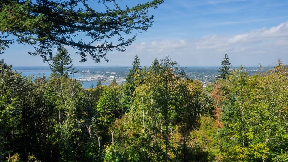 Sehome Hill Arboretum