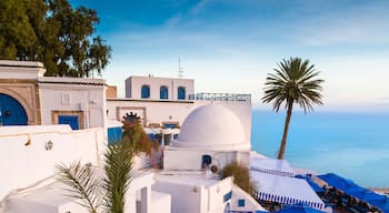 A coastal town with white buildings, blue doors, and a clear view of the sea.