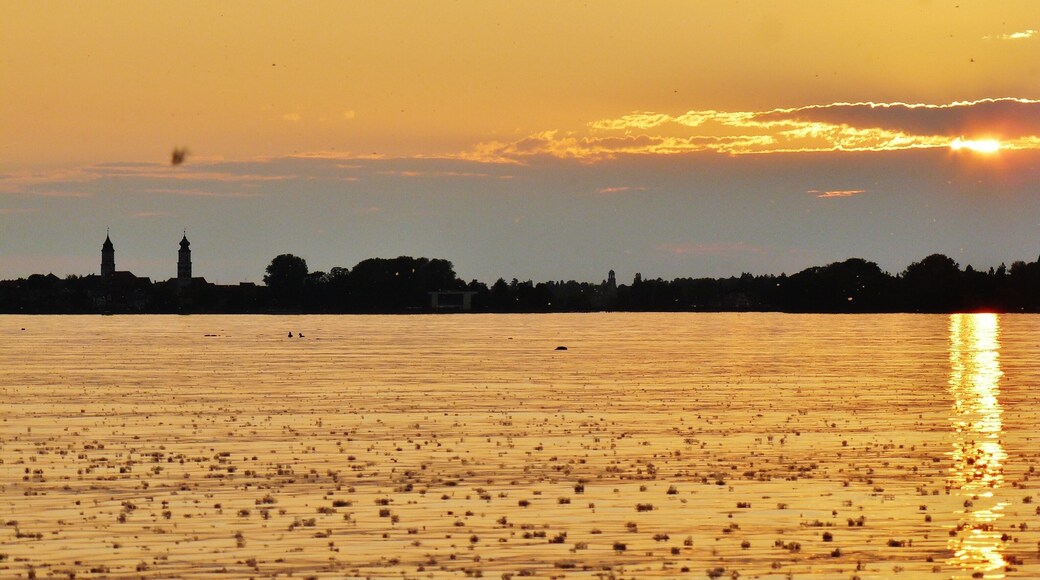 Pappelsamen auf dem Bodensee mit Blick auf Lindau