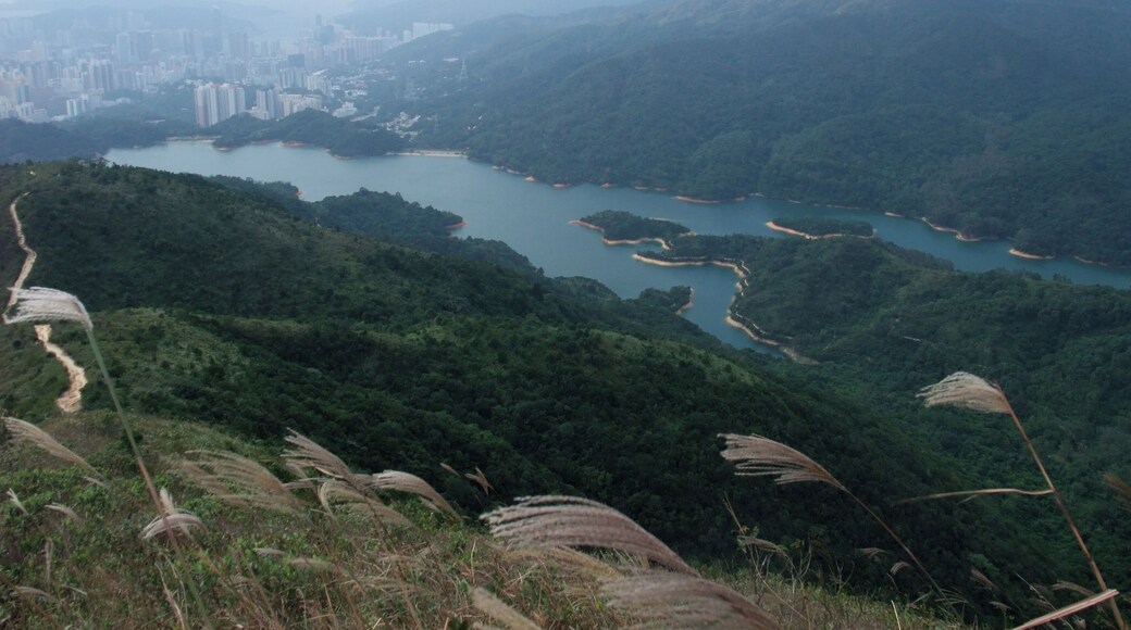 Photo of Shing Mun Reservoir