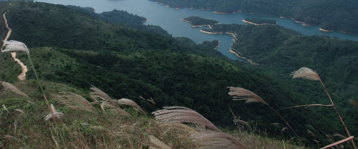 Photo of Shing Mun Reservoir