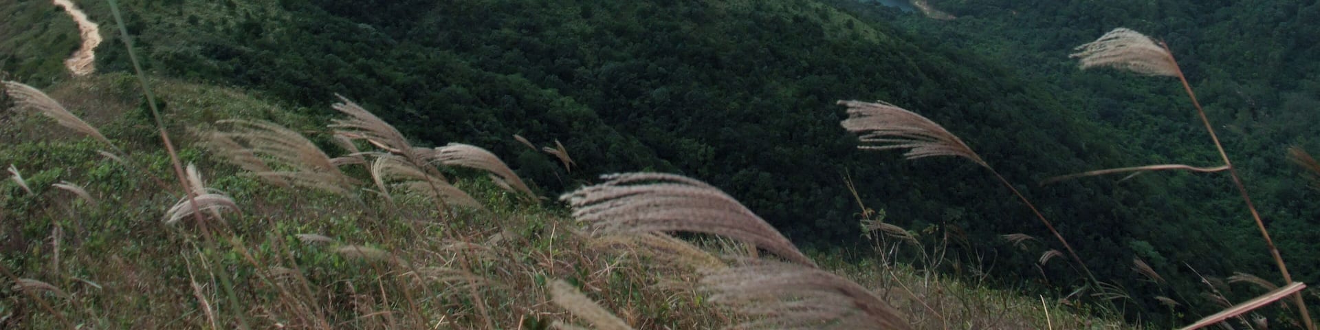 Photo of Shing Mun Reservoir