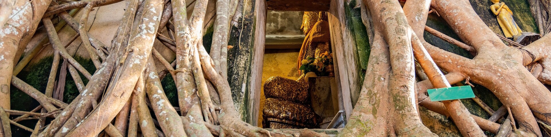 Wat Bang Kung, the old temple covered with banyan tree,thailand