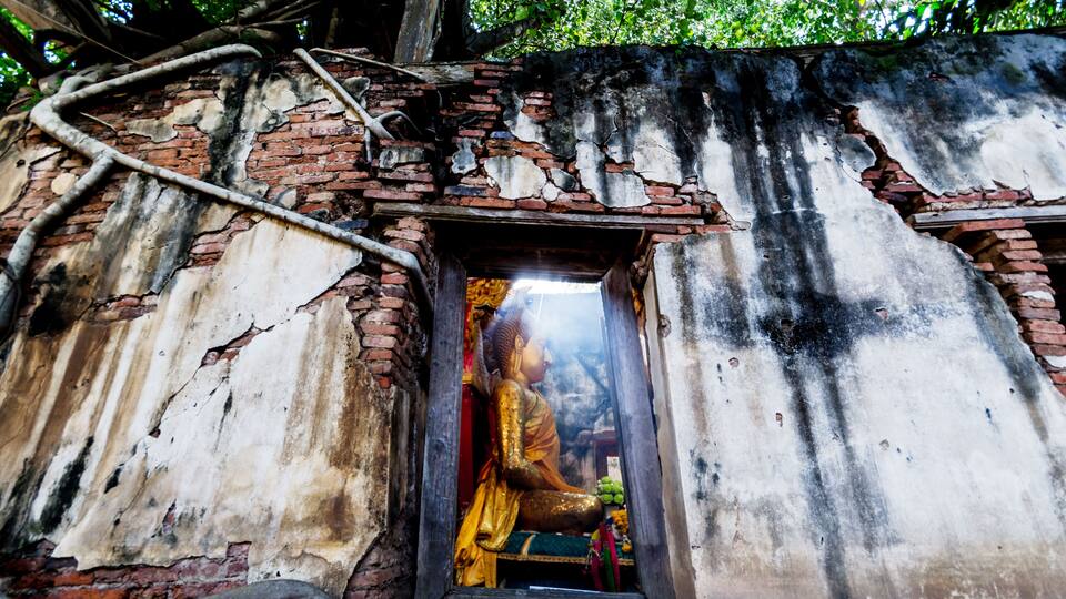 A weathered temple with a golden statue inside, surrounded by overgrown vegetation.