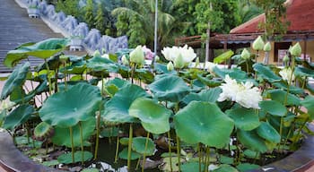 Vase with lotus flowers in the temple of Vietnam, the sanctuary of Ding Kau