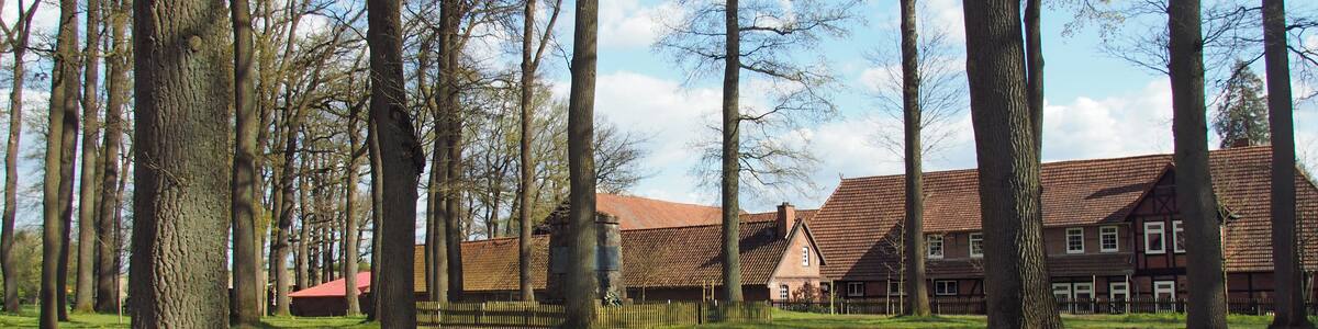 "Die Worth" Dorfplatz mit Eichen (von 1841) in Bleckmar, Stadt Bergen (Landkreis Celle), Niedersachsen, Germany. Die Worth war eine Hofstelle. die im späten Mittelalter Sitz der Billunger und Lehngut der Herzöge von Braunschweig-Lüneburg war. Das Gut wurde erstmals 866 erwähnt.