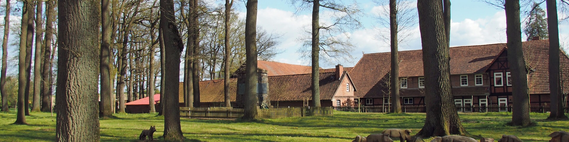 "Die Worth" Dorfplatz mit Eichen (von 1841) in Bleckmar, Stadt Bergen (Landkreis Celle), Niedersachsen, Germany. Die Worth war eine Hofstelle. die im späten Mittelalter Sitz der Billunger und Lehngut der Herzöge von Braunschweig-Lüneburg war. Das Gut wurde erstmals 866 erwähnt.