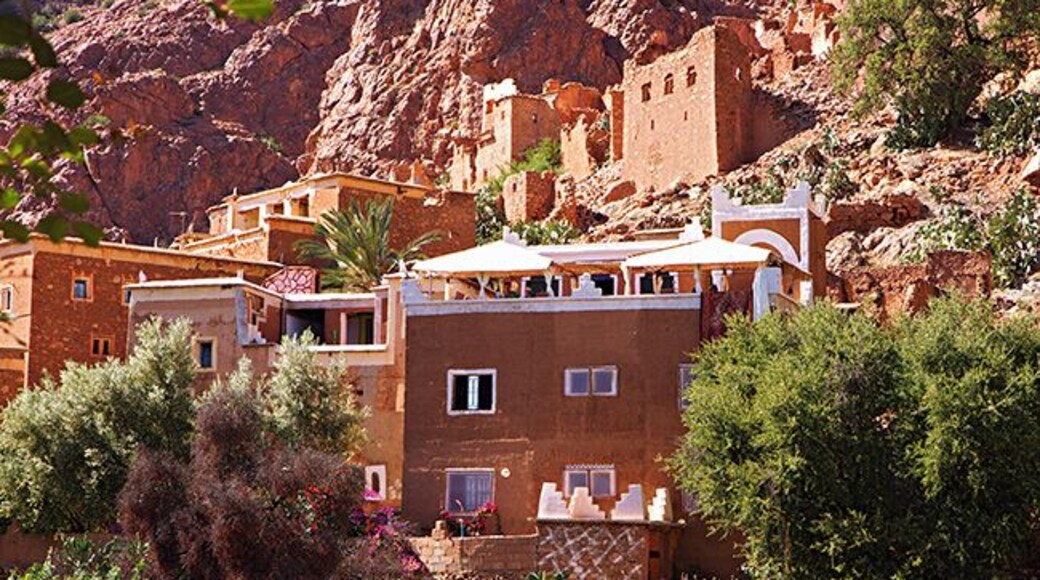 La Maison Traditionnelle is situated 4 km outside Tafraoute in a small village. You have to walk 1 km to get to the place, but its worth it1 This is just great. I have a problem descrbing the beauty and originality at this place. We loved it.