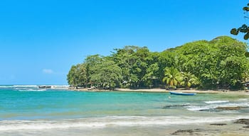 Bote en la bella playa de Puerto Viejo Costa Rica en un día de verano del caribe / Boat on the beautiful beach of Puerto Viejo Costa Rica on a Caribbean summer day