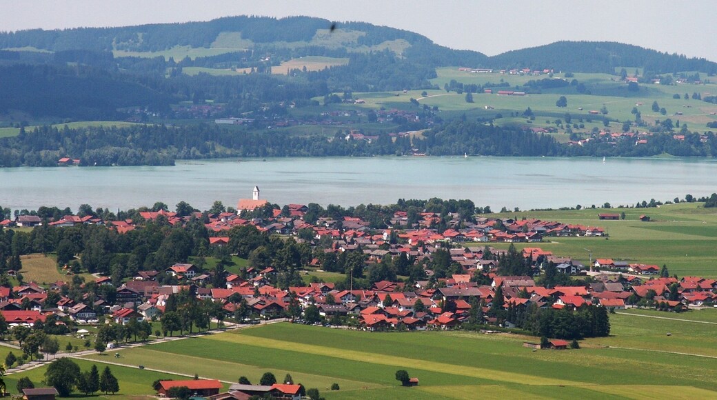 Postcards from the Alps V