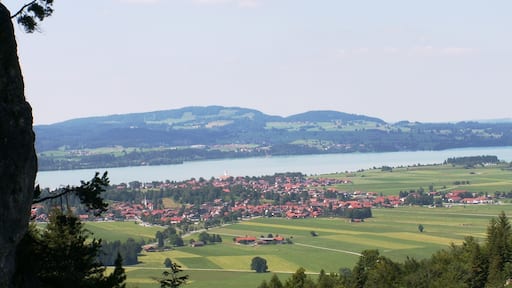 Postcards from the Alps XI