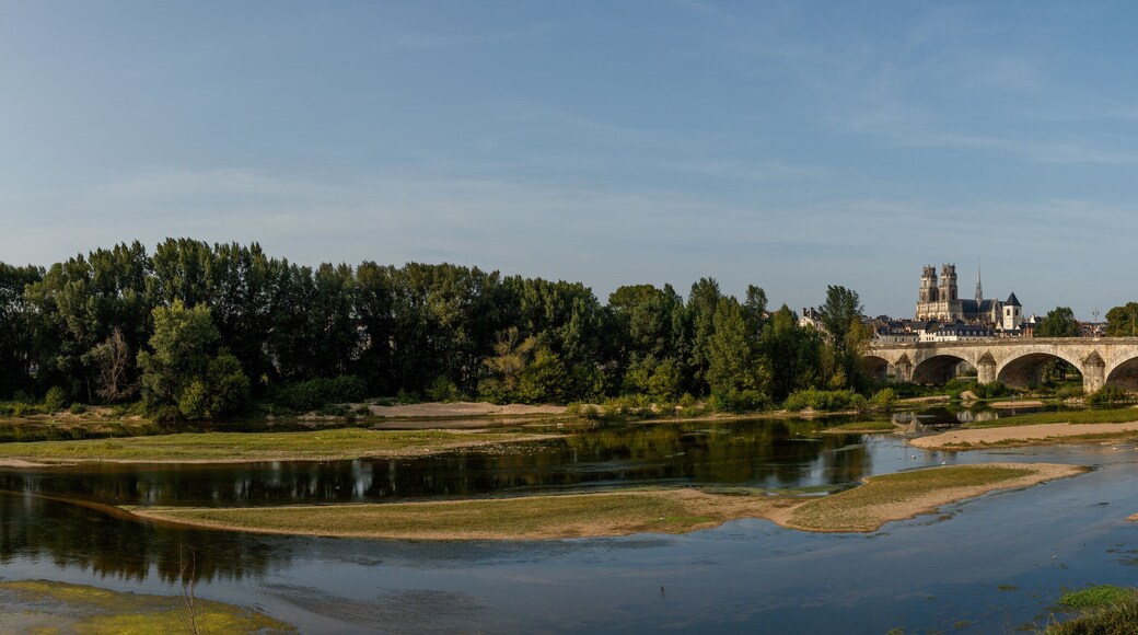 Cathédrale Sainte Croix et le Pont Royale, Orléans, France