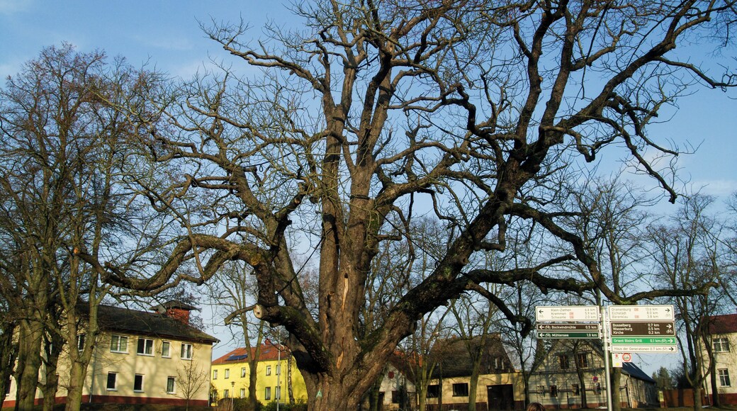 Vehlefanz, Brandenburg, Germany in winter