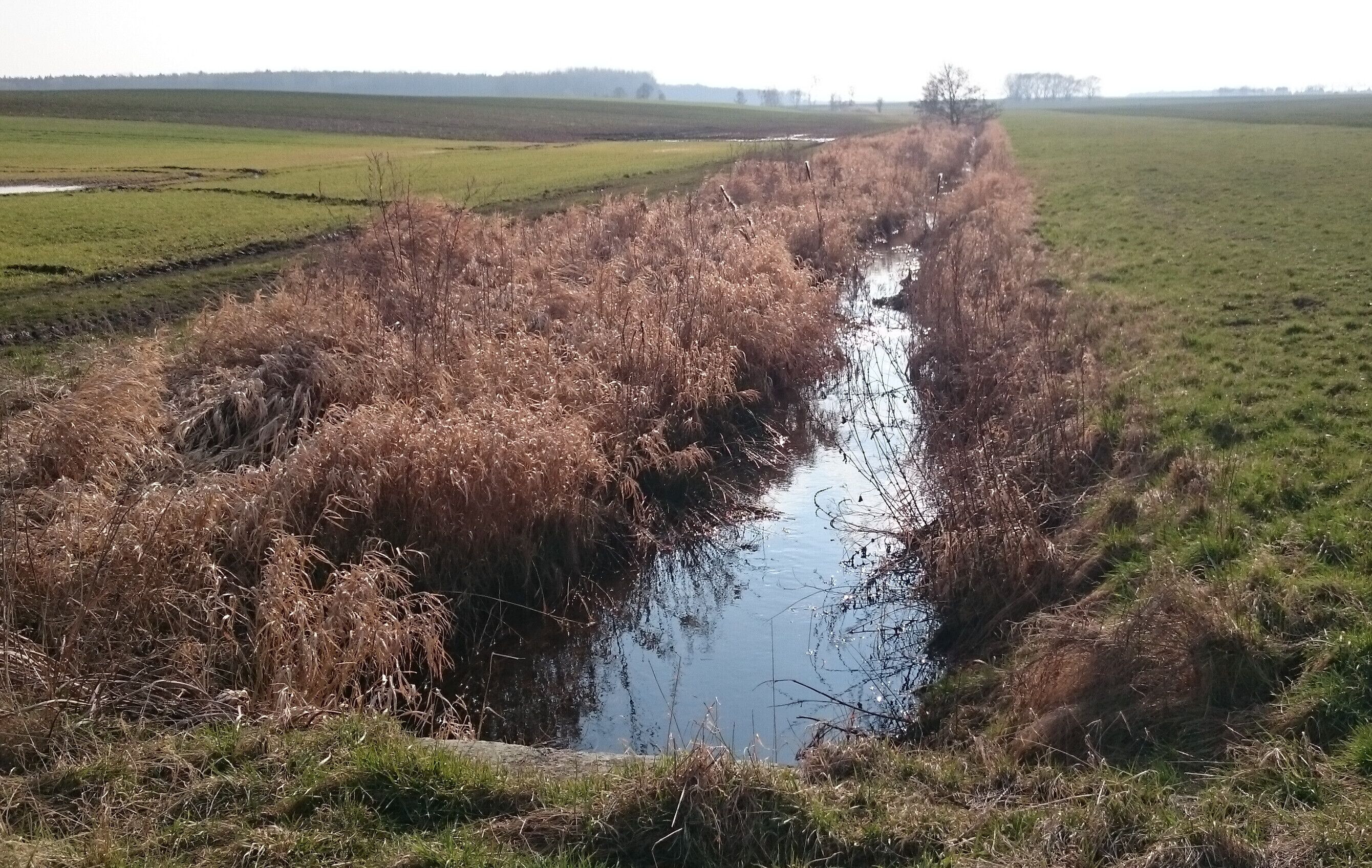 Der Schnellbach südlich vom Böttcherweg
