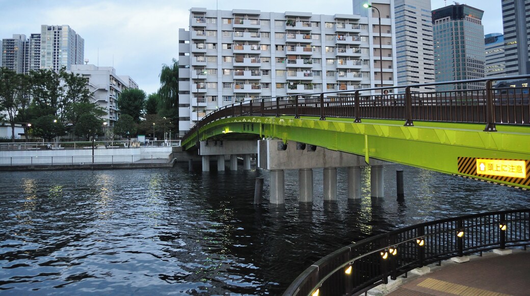 高浜運河に架かる楽水橋 Bridge over a canal