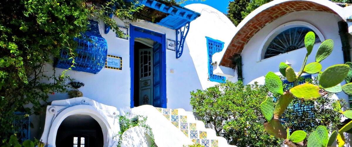 A gorgeous little town in Tunisia called sidi bou said, where all the buildings are white and blue.