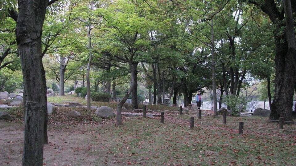 中央公園