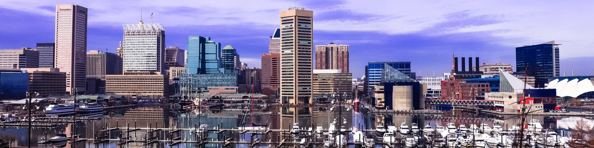 Baltimore City Wide View