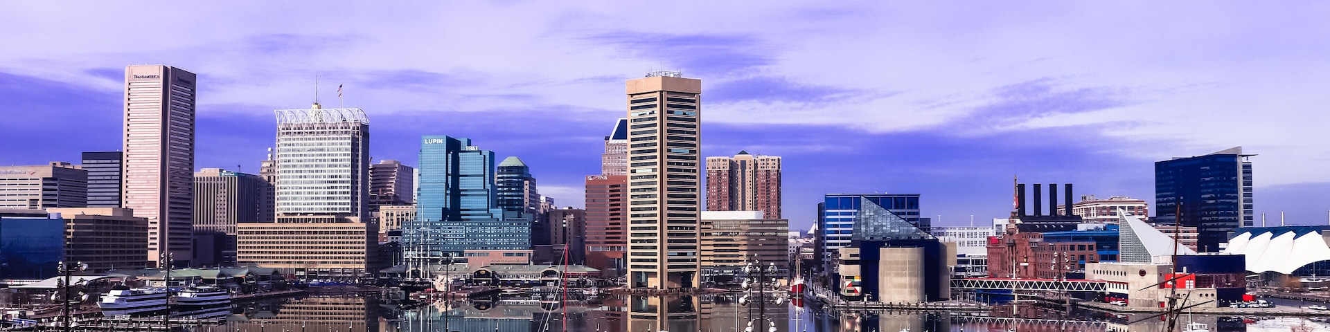 Baltimore City Wide View