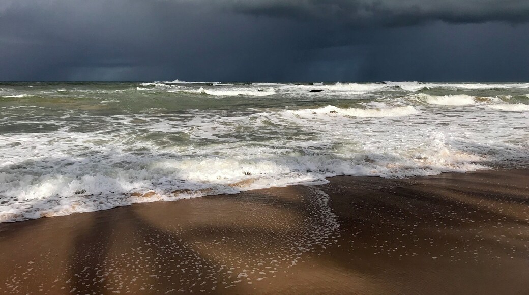 The storm is coming!