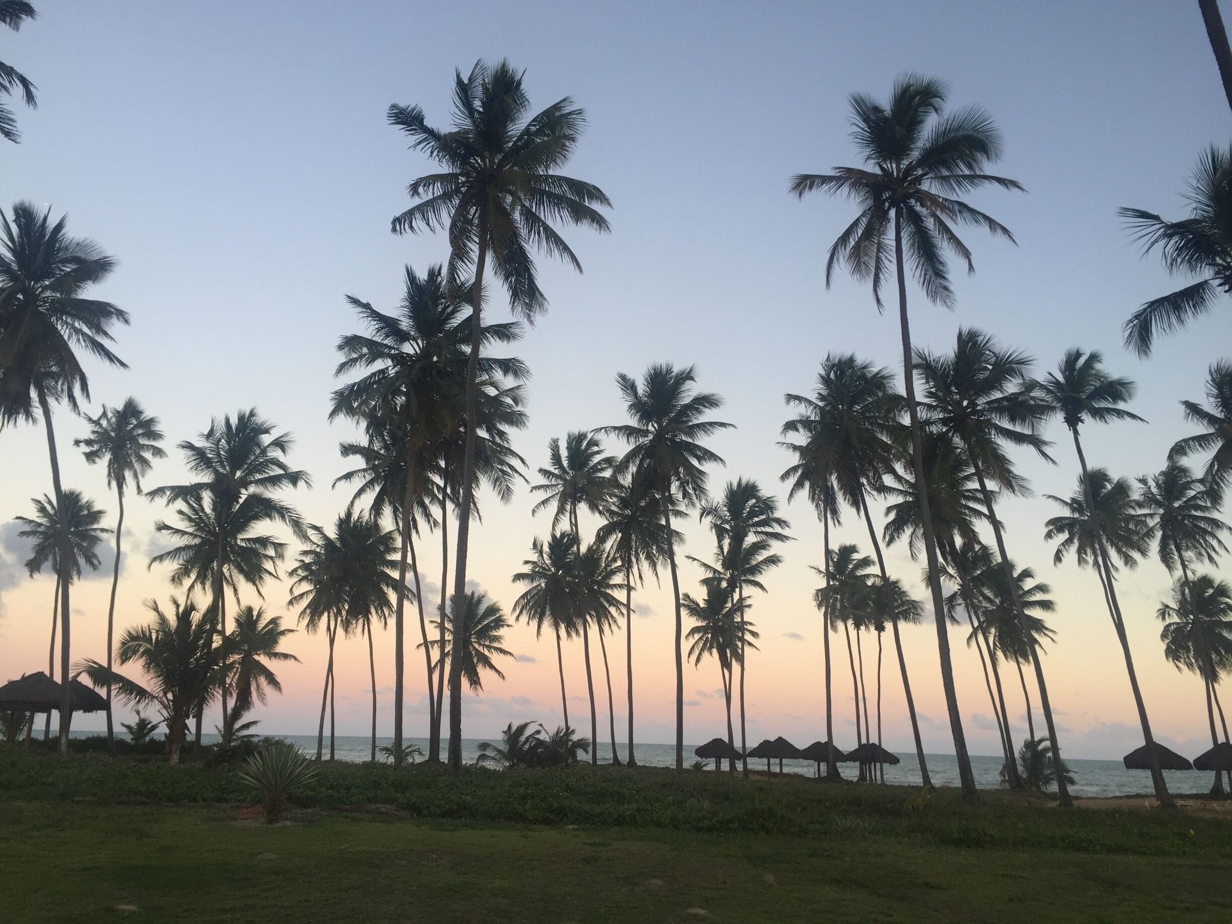 #bahia #brazil #2016