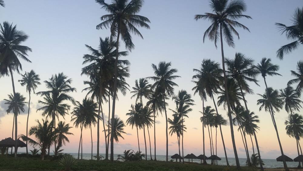 #bahia #brazil #2016