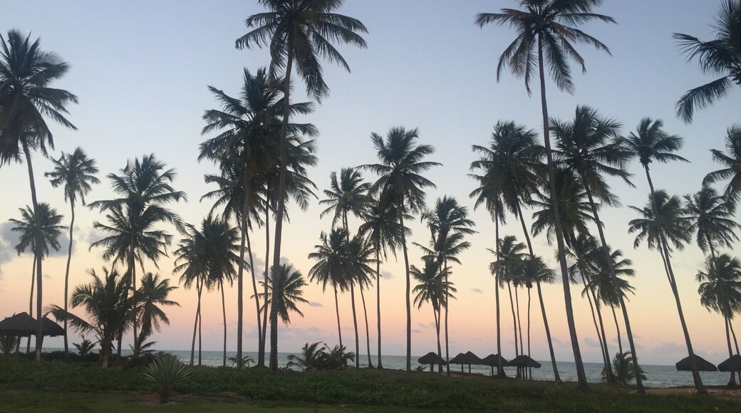 #bahia #brazil #2016