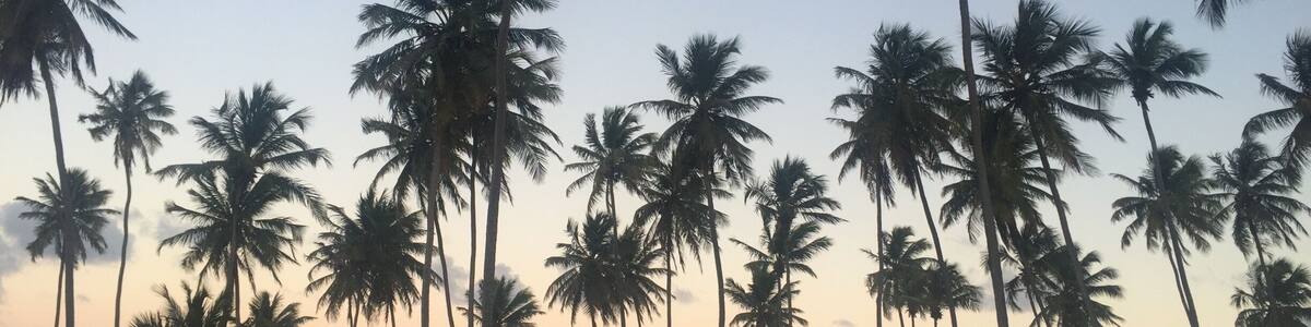 #bahia #brazil #2016