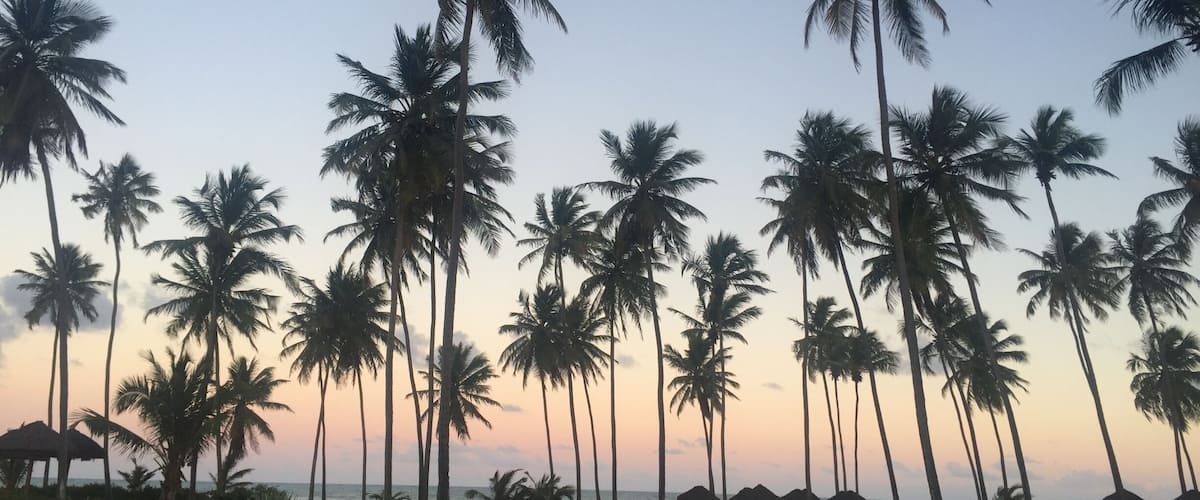 #bahia #brazil #2016