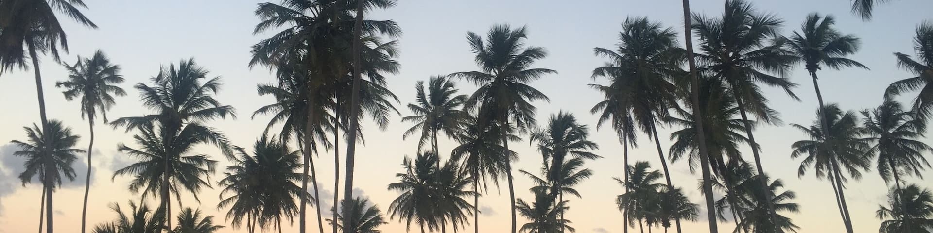 #bahia #brazil #2016