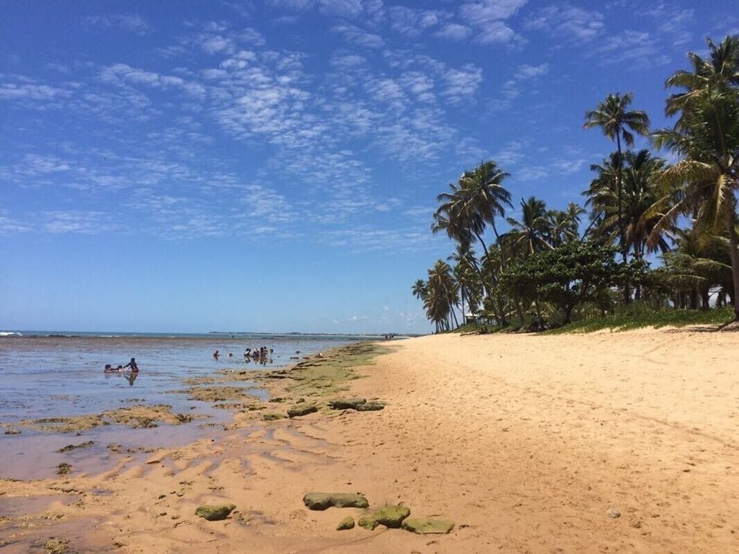 The wonderful Praia do Forte, 1h by car from Salvador, Brazil. 

#lifeatexpedia #brazil #beachs #bahia