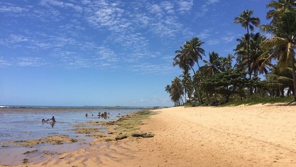 The wonderful Praia do Forte, 1h by car from Salvador, Brazil.
#lifeatexpedia #brazil #beachs #bahia
