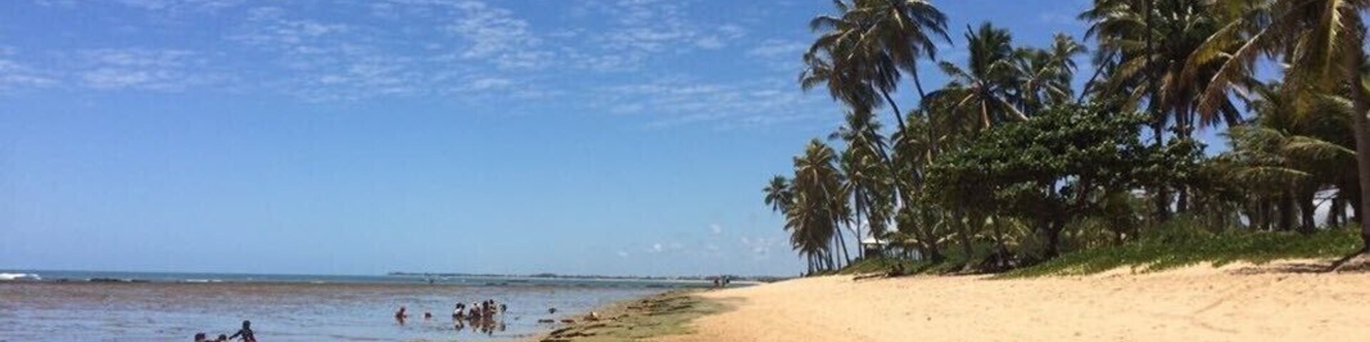 Uma praia arenosa com palmeiras e afloramentos rochosos.
