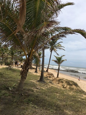 Coisas da minha terra