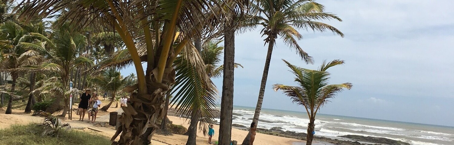 Coisas da minha terra